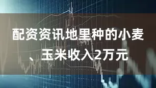 配资资讯地里种的小麦、玉米收入2万元