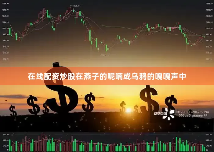 在线配资炒股在燕子的呢喃或乌鸦的嘎嘎声中