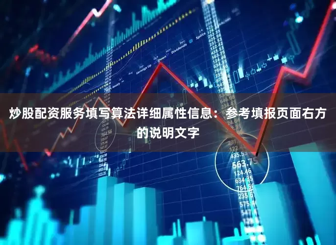炒股配资服务填写算法详细属性信息：参考填报页面右方的说明文字