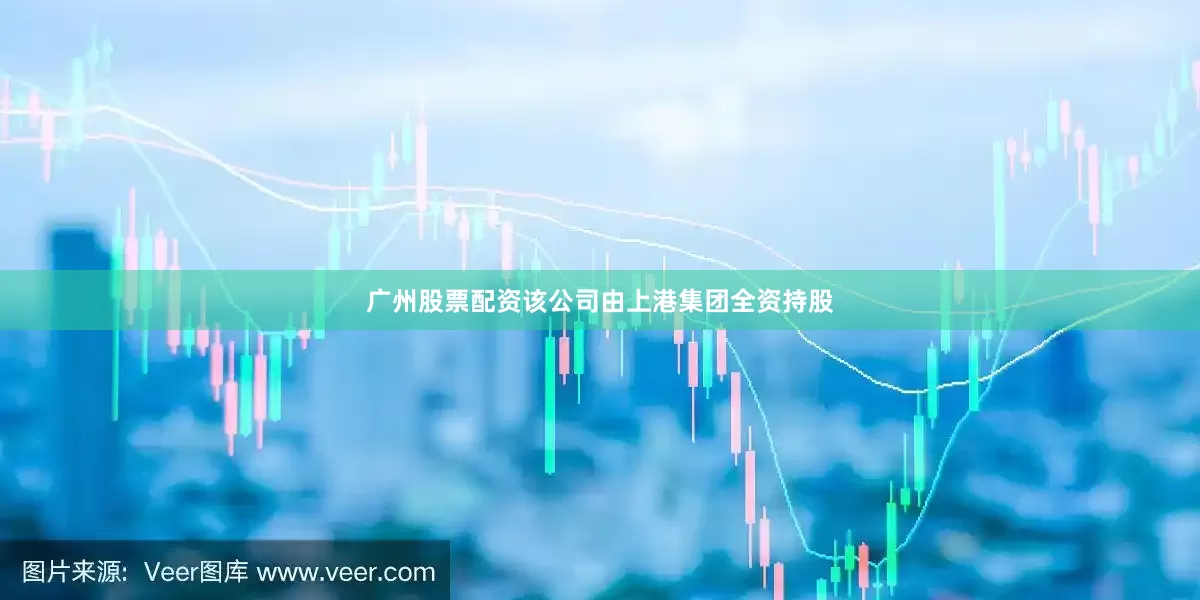 广州股票配资该公司由上港集团全资持股