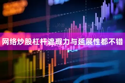 网络炒股杠杆遮瑕力与延展性都不错