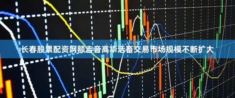长春股票配资网额吉音高毕活畜交易市场规模不断扩大