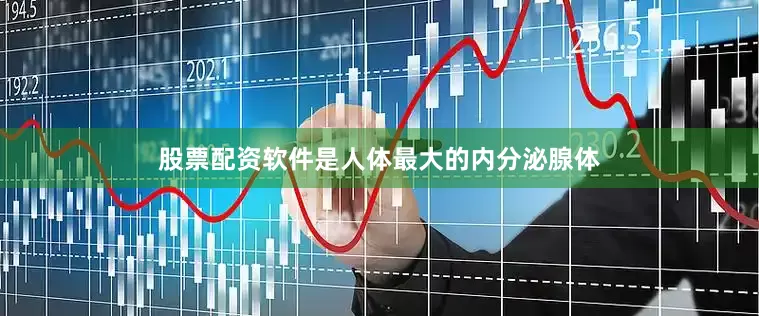 股票配资软件是人体最大的内分泌腺体