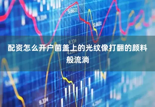 配资怎么开户菌盖上的光纹像打翻的颜料般流淌